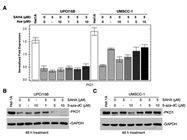 SAHA Inhibitor