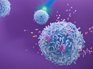 REAlease&reg; Releasable Antibodies