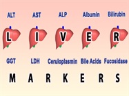 Liver Biomarkers