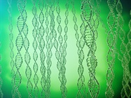 Analyzing Gene Copy Number Variation with NGS