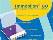 Watch Video: Rethink Western blotting with Immobilon® GO