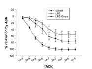 Acetylcholine Chloride Induces Aortic Ring Relaxation