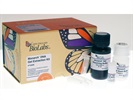 Monarch&reg; DNA Gel Extraction Kit