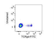 Bright Staining of TCRgd