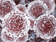 Defining Success in Stem Cell Culture