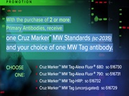 With the Purchase of 2 or More Primary Antibodies, Receive One Cruz MarkerTM MW Standards (sc-2035) and Your Choice of One MW Tag Antibody.
