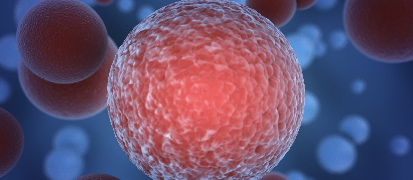  Quantifying Immunotherapy Impact with Multiple Analysis Techniques