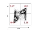 PE/Dazzle 594 CD19 Antibody to Detect B Cells in Mice