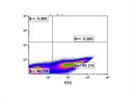 Anti-Mouse Ly-6G/Ly-6C (Gr-1) Antibody