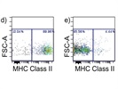 Great for Flow Cytometry