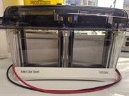 Protein Gel Electrophoresis Chamber