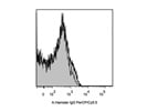 Staining Mouse Splenocytes with Armenian Hamster IgG PerCP/Cy5.5 Isotype Control