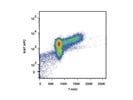 Staining Human T Cells with 7-AAD