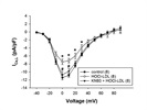 KN93 Ameliorates HOCl-LDL-Reduced ICa,L Density in Cardiomyocytes