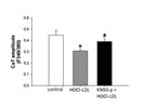KN93 Phosphate Inhibits HOCl-LDL-Reduced Ca2+ Transient Amplitude in Cardiomyocytes