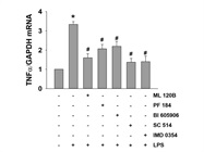 BI 605906 Protects Macrophages Against LPS-Induced Inflammation