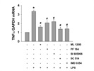 ML 120B Inhibits LPS-Induced TNFa Expression