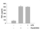 Pam2CSK4 from Tocris Induces TNFa Production and Release