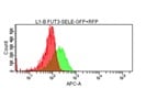 Binds to SLeX-Modified Cells, but Not Quite as Well as Mouse E-Selectin