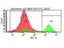 Excellent Detection of Endogenous E-Selectin Binding and SLeX-Modified Cells