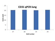 Good Reagent for Detecting Gene Expression in Human Lung Samples