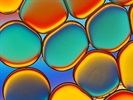 Assessing Spectroscopy: Absorbance, Fluorescence, or Both?