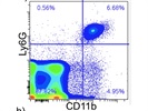 Great and Easy for Detection