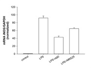 A 804598 Inhibits LPS-Induced Inflammation