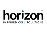 All-in-one CRISPR sgRNA + Cas9