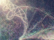 Infographic: Exploring Genetic Variation with SNP Genotyping