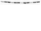 Great Antibody for Interrogating AKT Signaling (P-AKT - Ser473)