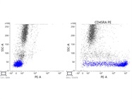 CD45RA with a Bright Conjugate (PE)