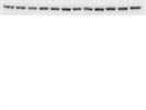 Good Antibody for Evaluating Kallistatin Expression