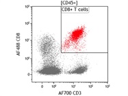 Alexa Fluor® 488 Anti-Human CD8 Antibody