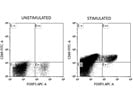 Good Antibody for Mouse CD69 Staining
