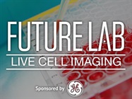 Keep Your High Content Assays Under Control