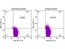 Flow Cytometry Antibody for Mouse IFN-g