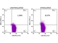 Flow Cytometry Antibody for Mouse IFN-g