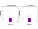 Flow Cytometry Antibody for Mouse IL-17