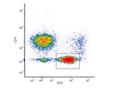 Bright CD8 for Mouse Cells