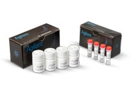 Unlock the potential of your plate reader and discover a direct measure of cell function with live cell metabolism assays