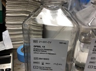 Sterile PBS Buffer for Cell Culture