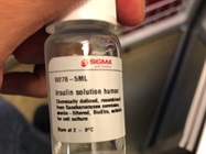 Insulin Solution for Cell Culture and Signaling Studies