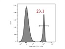 APC/Cy7 Anti-Mouse CD4 Antibody to Detect Mouse CD4 T Cells