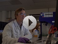 [Watch] BD Biosciences: Manufacturing High-Quality Antibodies