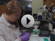 [Watch] CST: Antibodies for Reproducible Science