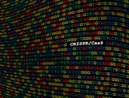 Functional Genomic Screening for Drug Resistance