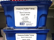 Big Cytokine Array Kit!