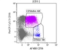 Alexa Fluor® 488 Anti-Human CD56 (NCAM) Antibody