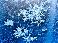 Cryopreservation Freezing Solutions